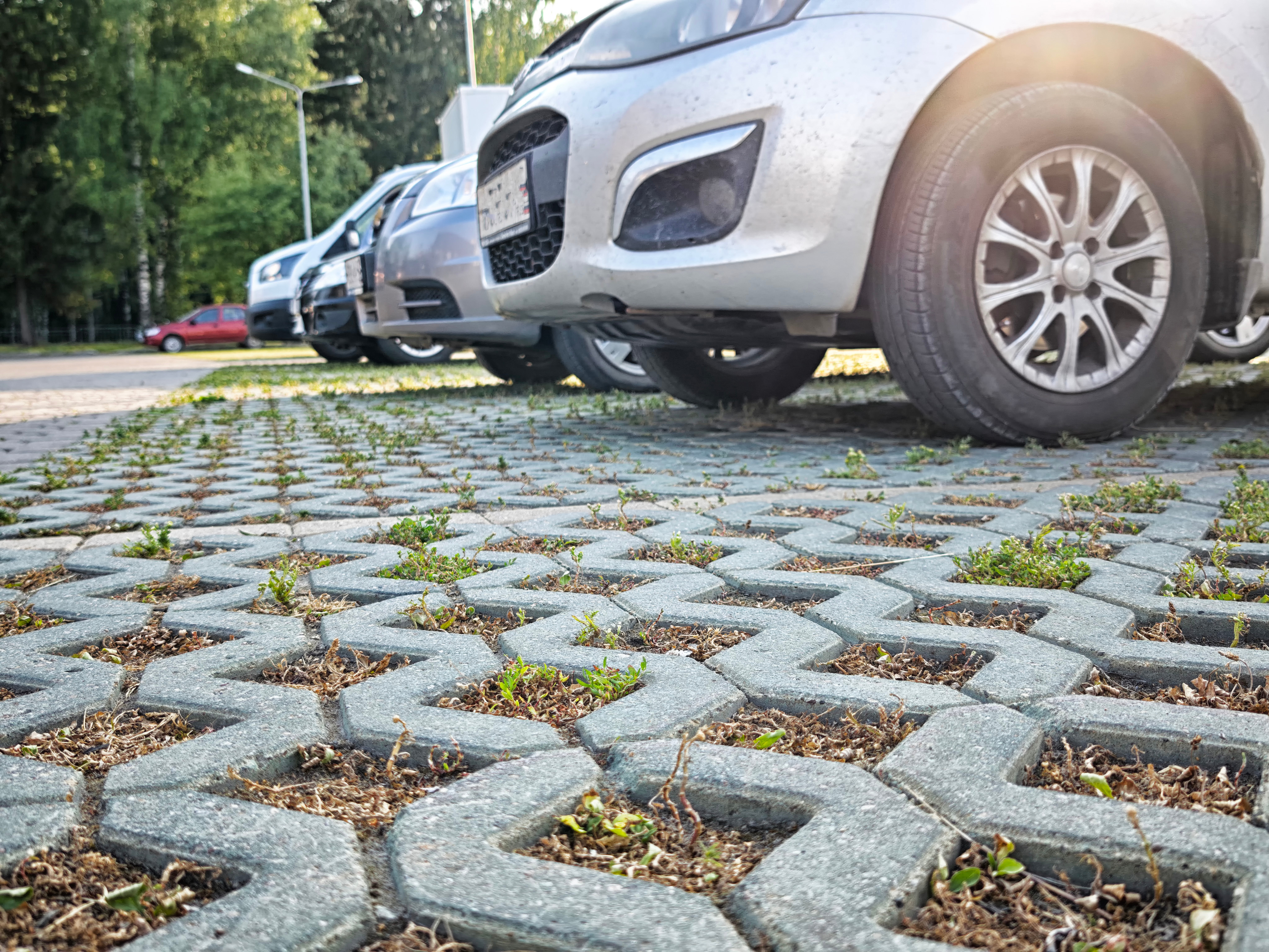 Grass pavers for greening parking lots