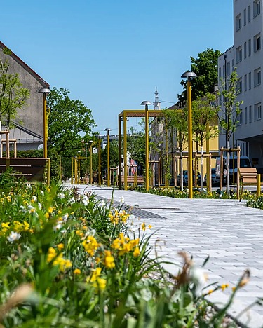 Foto von Entsiegelungsprojekt des Promenandenring in St. Pölten