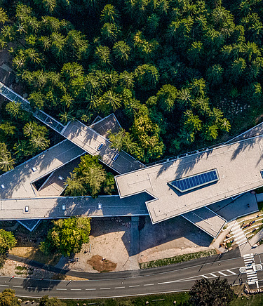 Timber construction in the forest Bird's eye view of a wooden building in the middle of a forest