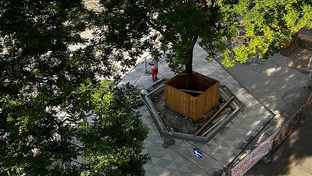 Photo of green unsealing project Julius-Tandler-Platz