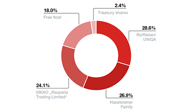 Pie chart showing the shareholder structure. In detail, Raiffeisen/UNIQA holds 30.4%, the Haselsteiner family 28.6% and MKAO 