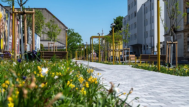 Entsiegelung St.Pölten