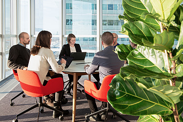 Foto zeigt das Sustainability Management Team bei der gemeinsamen Arbeit an der Nachhaltigkeitsstrategie