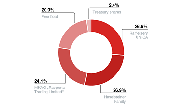 Pie chart showing the shareholder structure. In detail, Raiffeisen/UNIQA holds 26.6%, the Haselsteiner family 28.6% and MKAO 