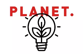 Light bulb icon with 